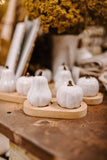 pumpkin salt and pepper set on mango wood tray