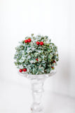 Mistletoe Ornament