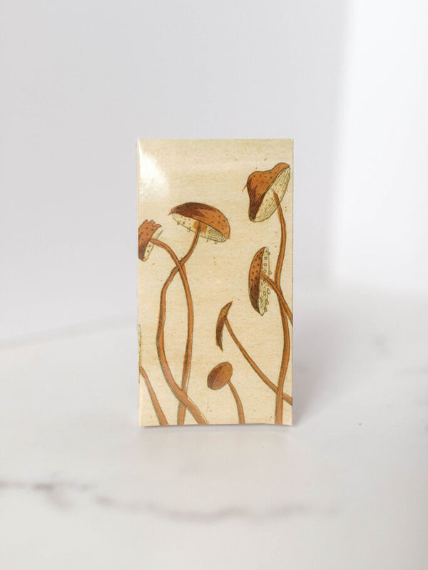 Crossing Mushroom Matchbox