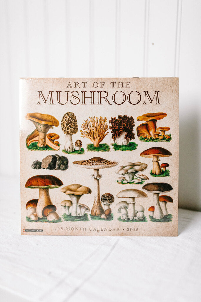 art of the mushroom 2025 wall calendar