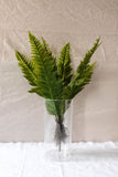 Full Frond Fern Bush