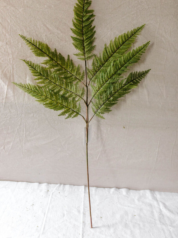 Large Fern Spray