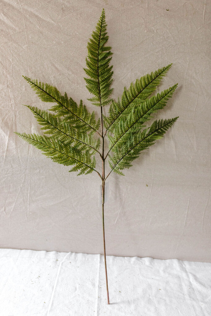 Large Fern Spray