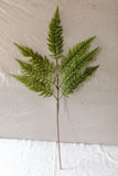 Large Fern Spray
