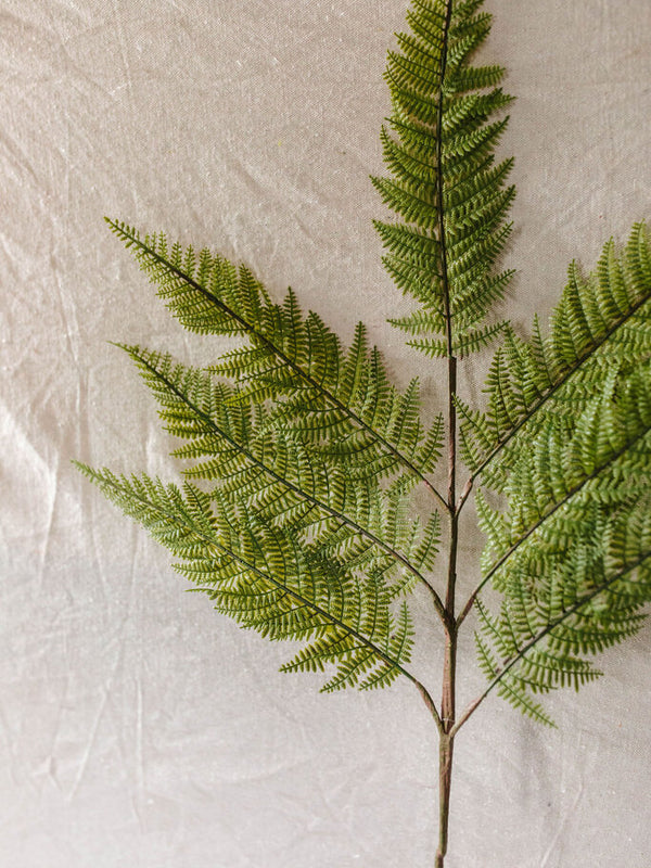 Large Fern Spray