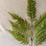 Large Fern Spray