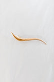 slim gold alligator claw clip