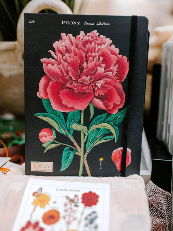 peony notebook