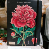 peony notebook
