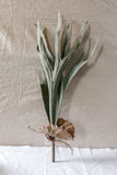 23.5" Staghorn Fern Stem