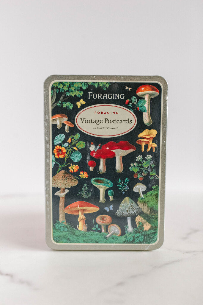 foraging postcard set