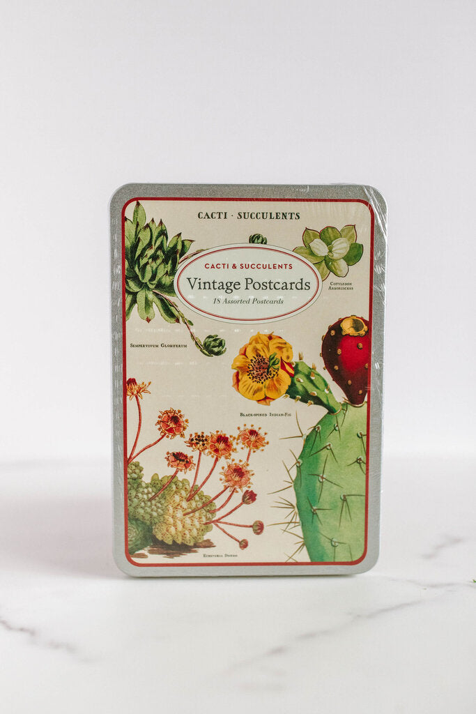 succulents postcard set