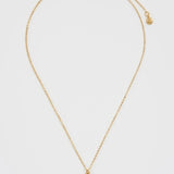 peter rabbit with lemon necklace