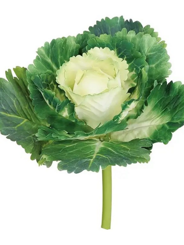 10" real touch cabbage pick