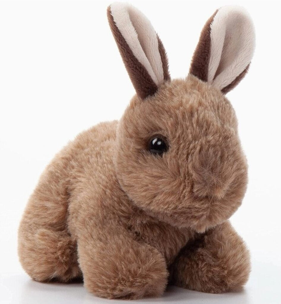 baby bunny