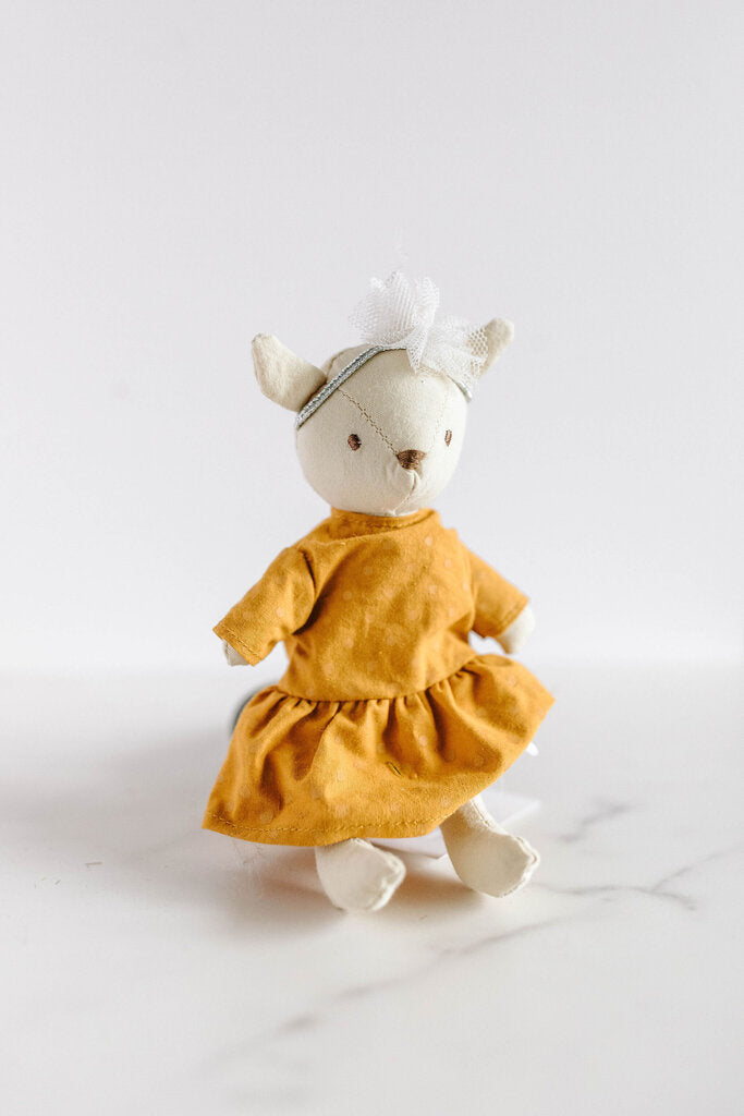 small cat in dress