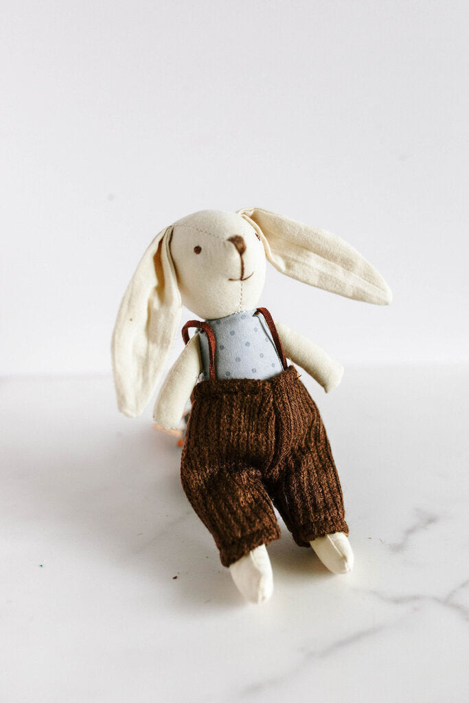 small bunny in overalls