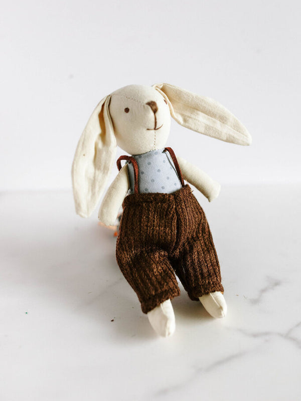 small bunny in overalls