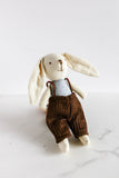 small bunny in overalls