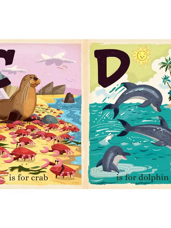 O Is For Ocean