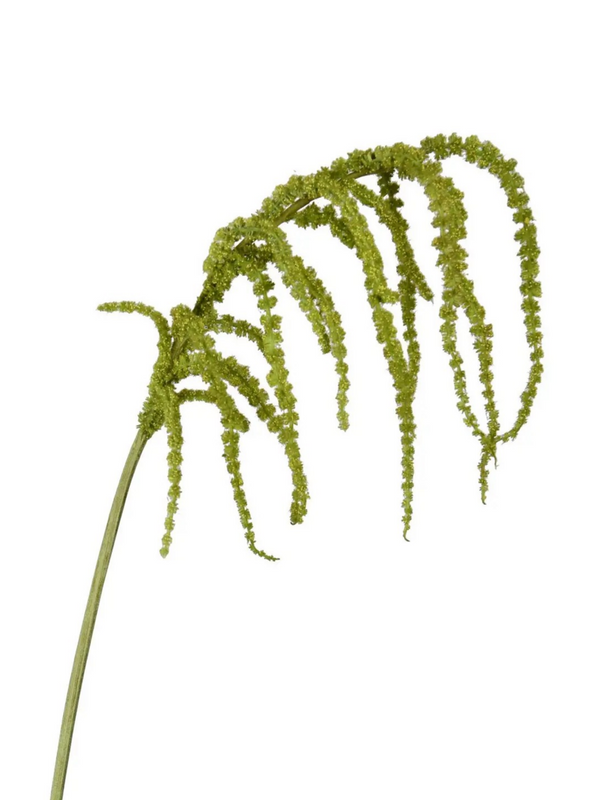 39" Amaranthus hanging spray