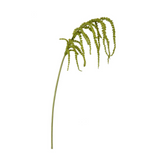 39" Amaranthus hanging spray