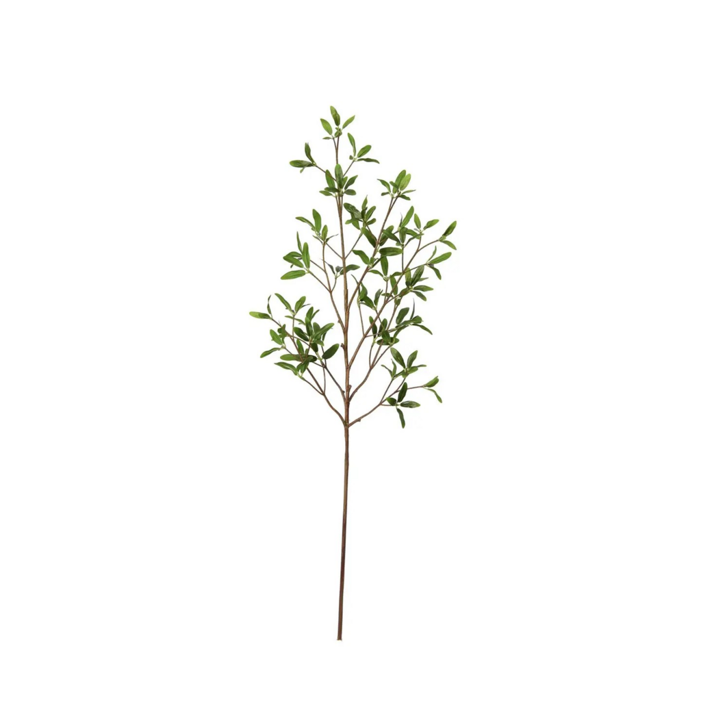 33" coprosma kirkii spray