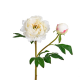 24.5" ivory real touch peony flower bloom