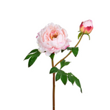 24.5" light pink real touch peony flower bloom