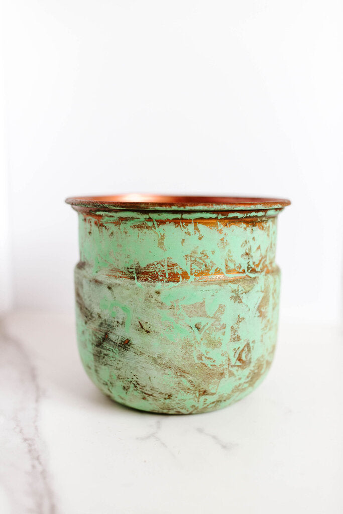 medium tulip planter