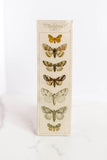 Long Moth Matches