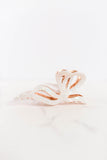 opal bow hair claw