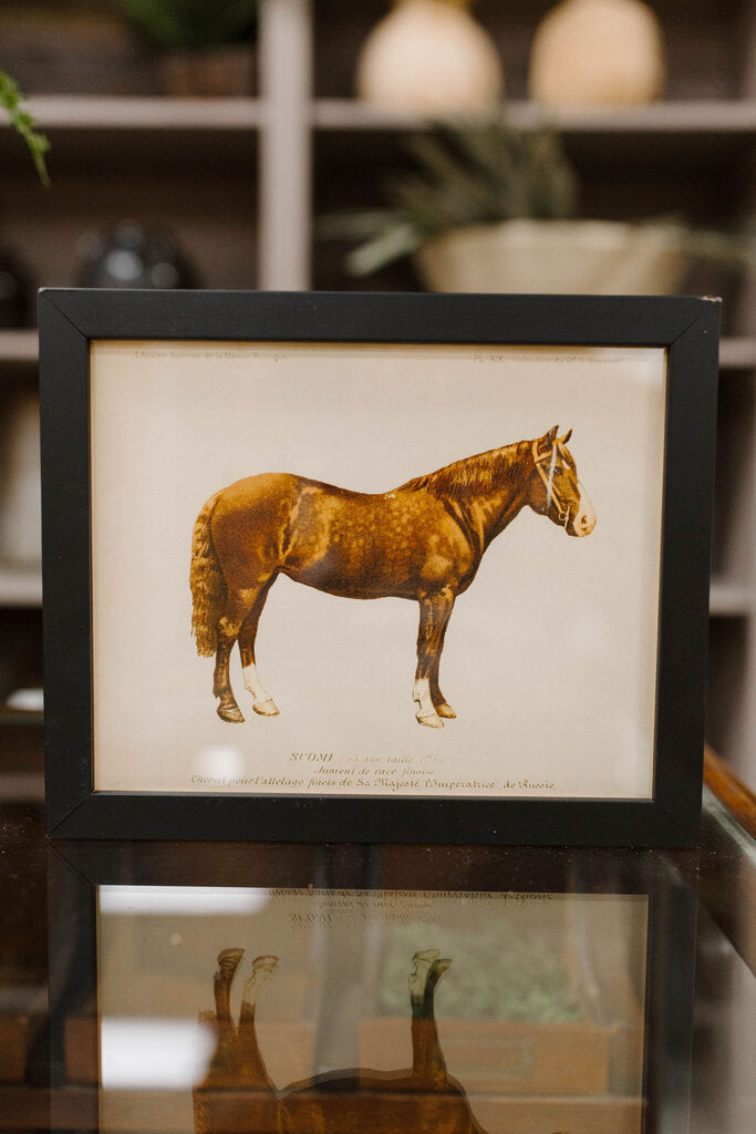 Brown Horse Bookplate
