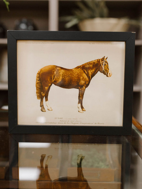 Brown Horse Bookplate