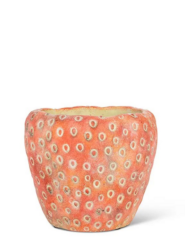 Strawberry Planter
