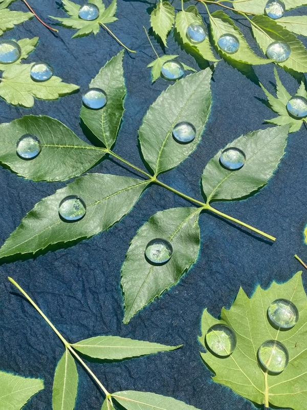 DIY cyanotype bandana kit