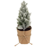 6.75" Tall Paper Pot Snowy Pine Tree w/ Sisal Bow Christmas