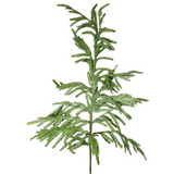 36" Eastern norfolk pine christmas spray