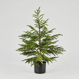 Artificial Norfolk Pine Tree - 36"