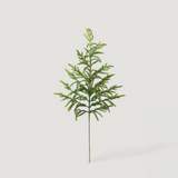 Real Touch Norfolk Pine Branch - 36"
