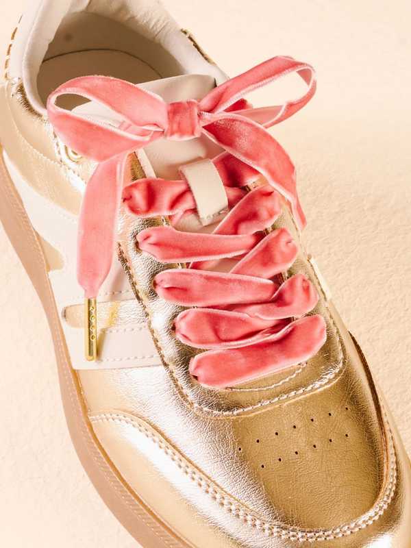 velvet rose shoelaces