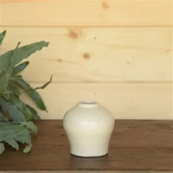 White Urn Vase