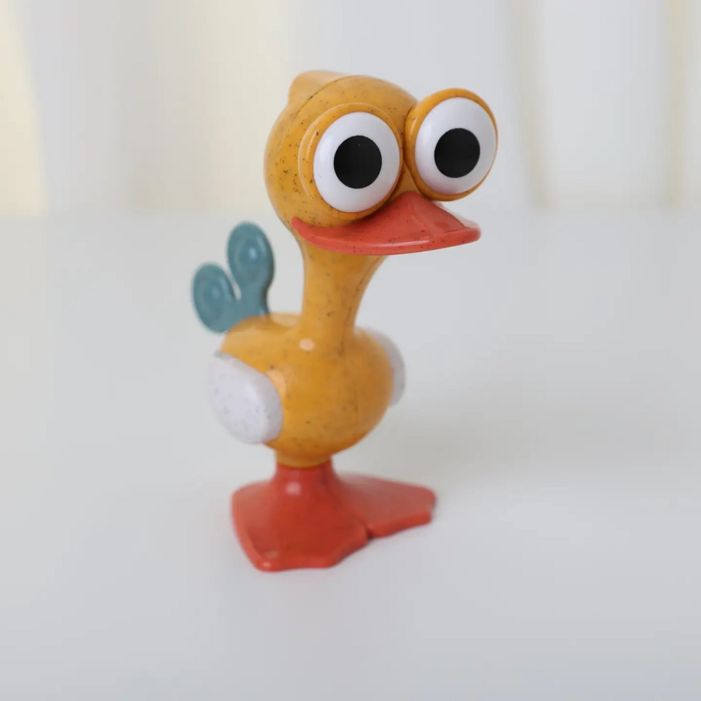 Crazy Eyed Bird