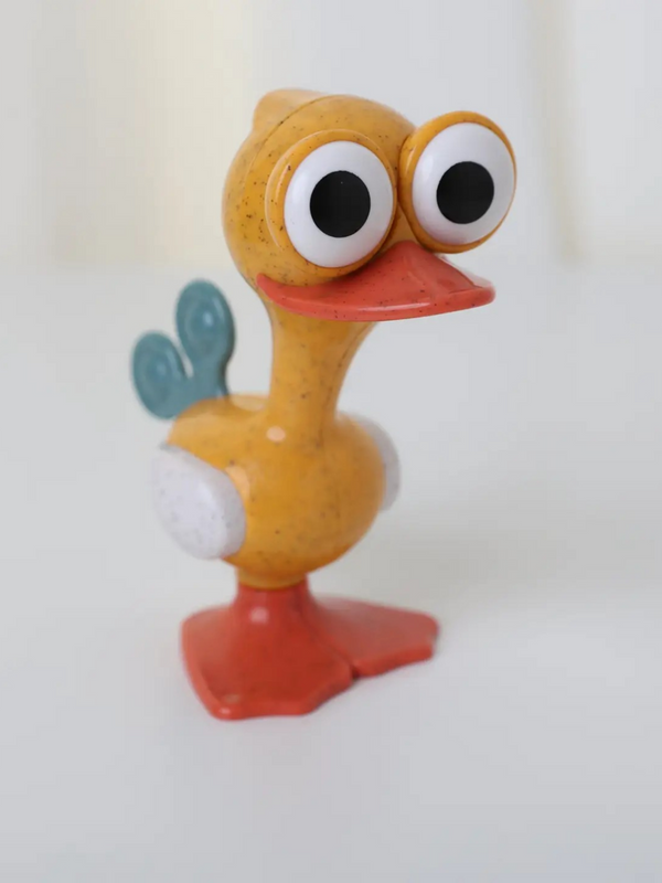 Crazy Eyed Bird