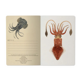 deep sea notebook