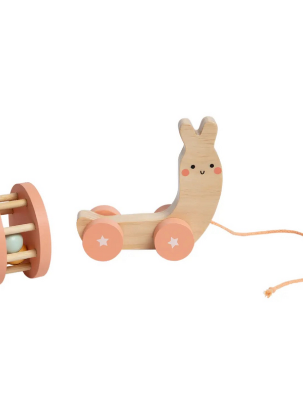 Snail Wooden Pull Toy