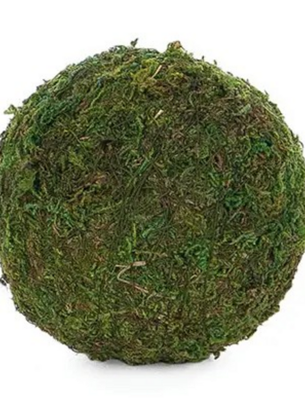 4" moss ball