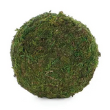 4" moss ball