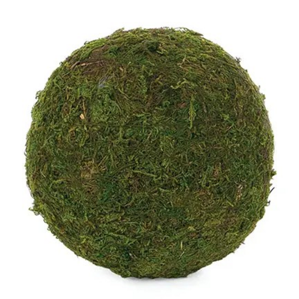 6" round moss ball