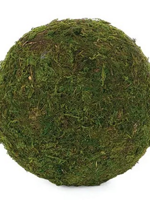6" round moss ball